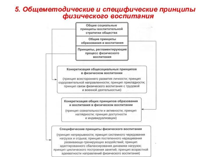 5. Общеметодические и специфические принципы физического воспитания