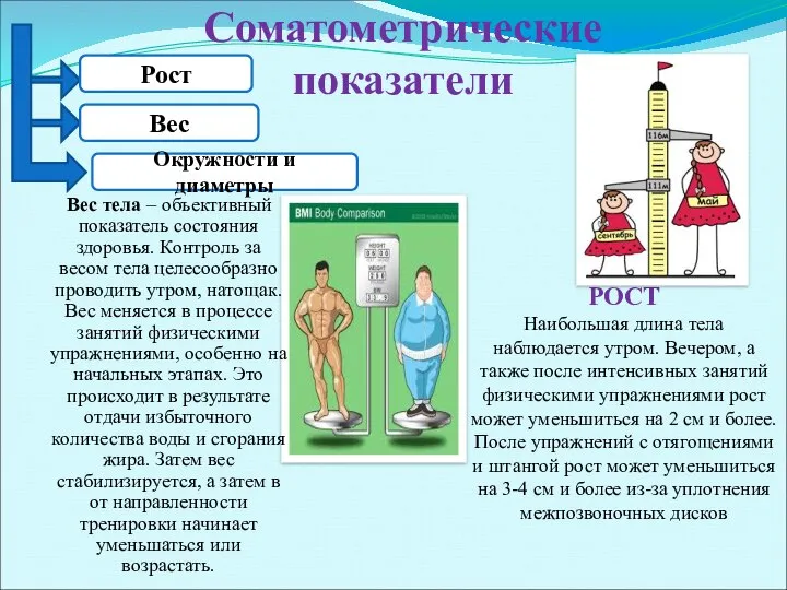 Соматометрические показатели Рост Вес Окружности и диаметры РОСТ Наибольшая длина тела