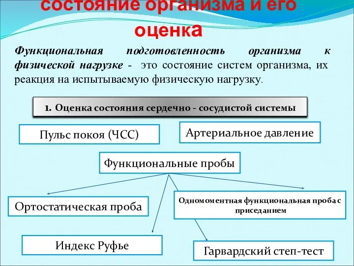 Функциональное состояние организма и его оценка Функциональная подготовленность организма к физической