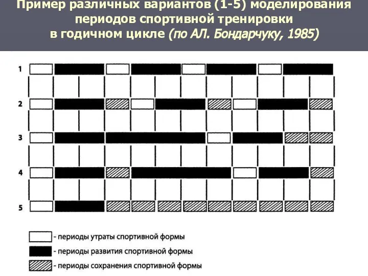 Пример различных вариантов (1-5) моделирования периодов спортивной тренировки в годичном цикле (по АЛ. Бондарчуку, 1985)