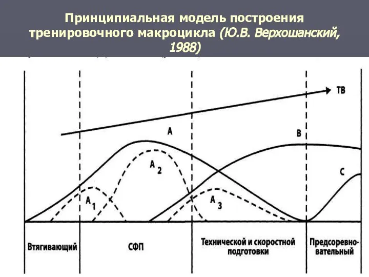 Принципиальная модель построения тренировочного макроцикла (Ю.В. Верхошанский, 1988)