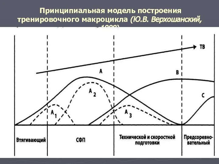 Принципиальная модель построения тренировочного макроцикла (Ю.В. Верхошанский, 1988)