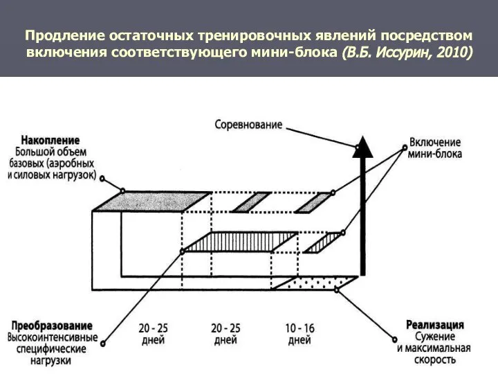 Продление остаточных тренировочных явлений посредством включения соответствующего мини-блока (В.Б. Иссурин, 2010)