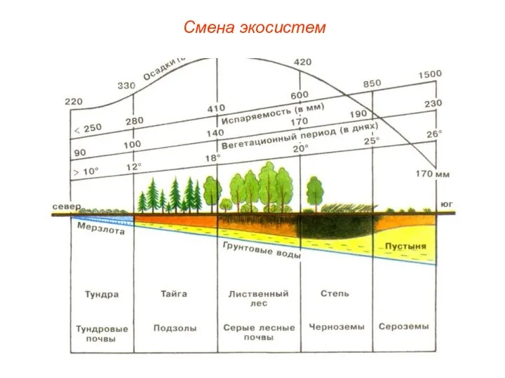 Смена экосистем