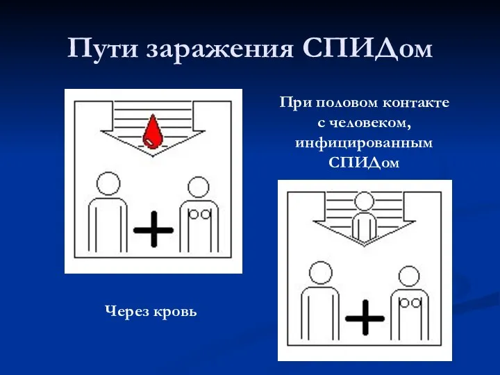 Пути заражения СПИДом Через кровь При половом контакте с человеком, инфицированным СПИДом