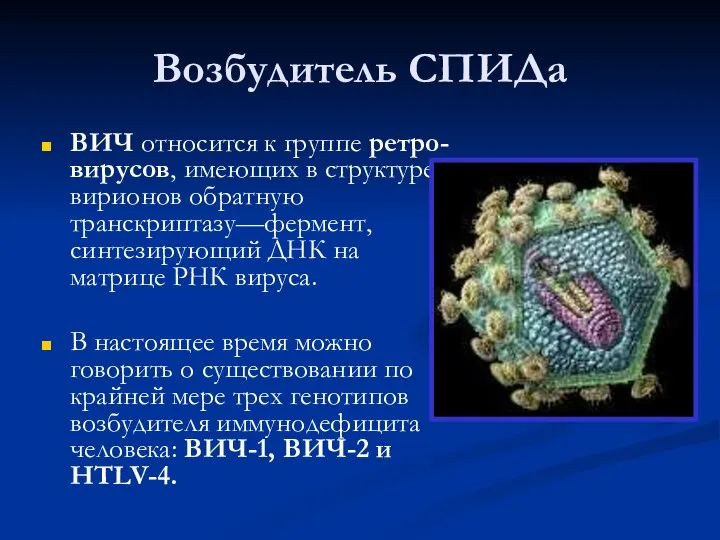 Возбудитель СПИДа ВИЧ относится к группе ретро-вирусов, имеющих в структуре вирионов