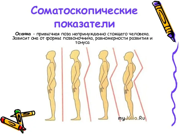 Соматоскопические показатели Осанка - привычная поза непринужденно стоящего человека. Зависит она