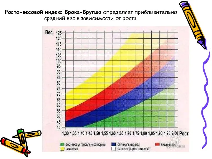 Росто-весовой индекс Брока-Бругша определяет приблизительно средний вес в зависимости от роста.