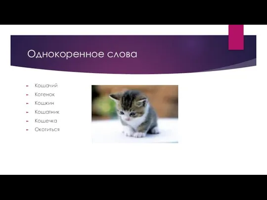 Однокоренное слова Кошачий Котенок Кошкин Кошатник Кошечка Окотиться