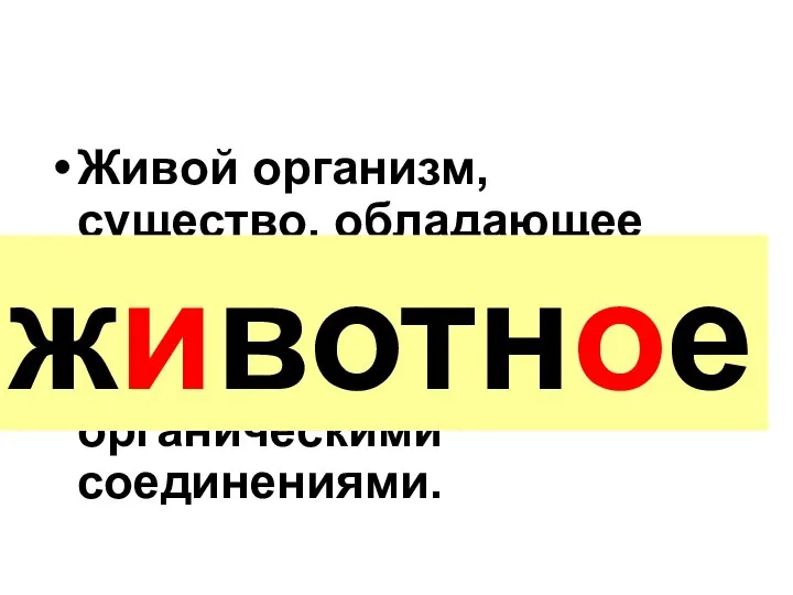 Живой организм, существо, обладающее способностью двигаться и питающееся, в отличие от растений, готовыми органическими соединениями. животное