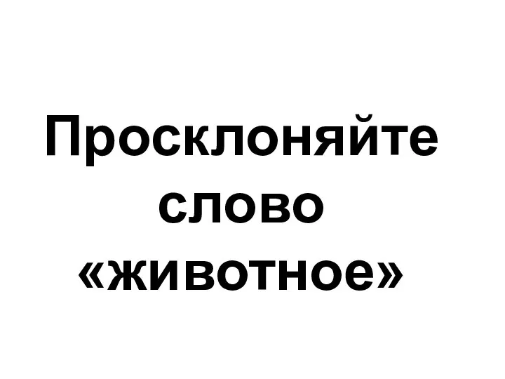 Просклоняйте слово «животное»