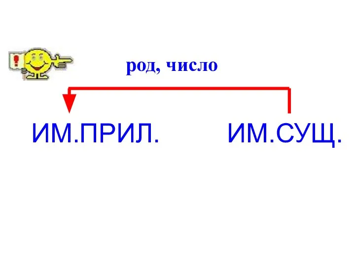 ИМ.ПРИЛ. ИМ.СУЩ. род, число