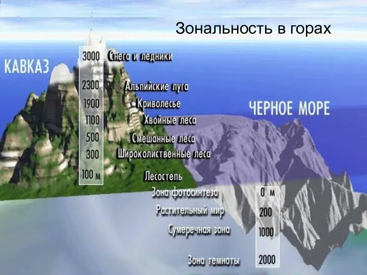 Зональность в горах Зональность в горах