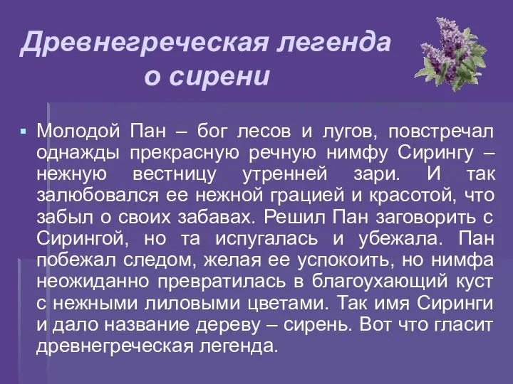 Древнегреческая легенда о сирени Молодой Пан – бог лесов и лугов,