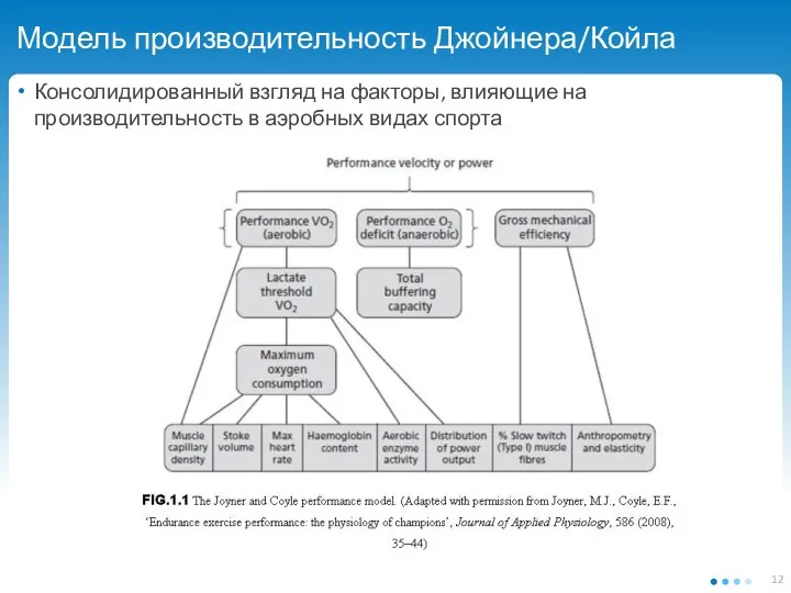 Модель производительность Джойнера/Койла Консолидированный взгляд на факторы, влияющие на производительность в аэробных видах спорта