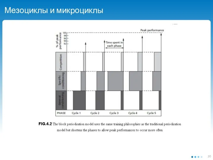 Мезоциклы и микроциклы