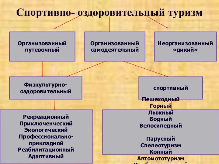 Спортивно- оздоровительный туризм Организованный путевочный Организованный самодеятельный Неорганизованный «дикий» Физкультурно- оздоровительный