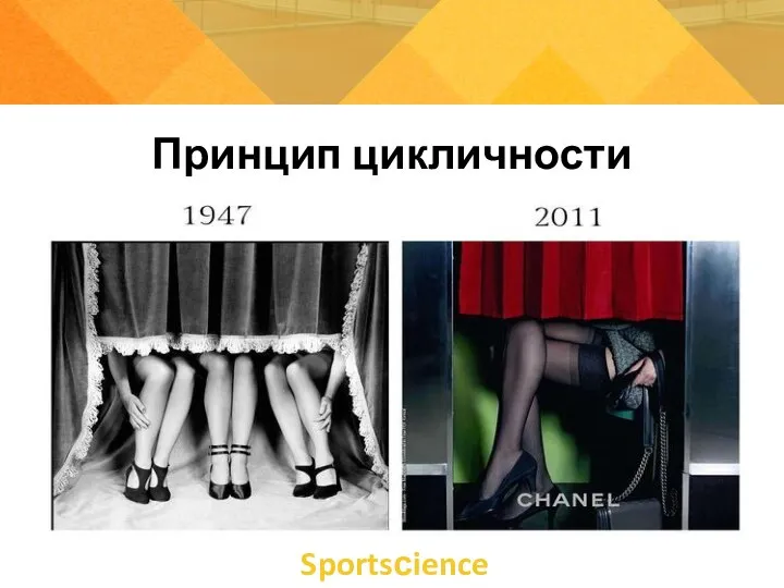 Принцип цикличности Sportsсience