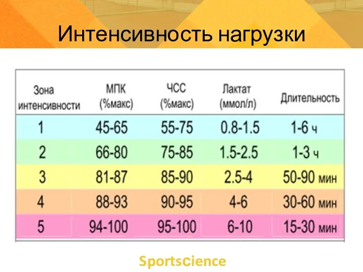 Sportsсience Интенсивность нагрузки