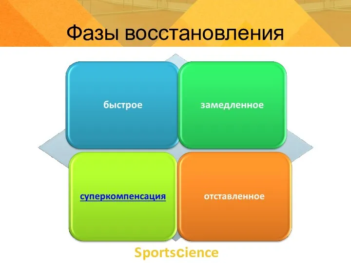 Sportsсience Фазы восстановления