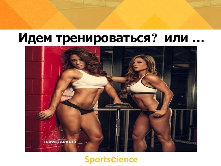 Идем тренироваться? или … Sportsсience