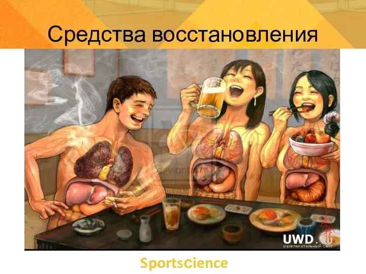 Sportsсience Средства восстановления