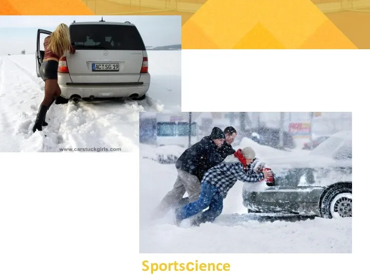 Sportsсience