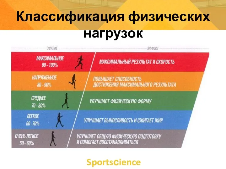 Sportsсience Классификация физических нагрузок