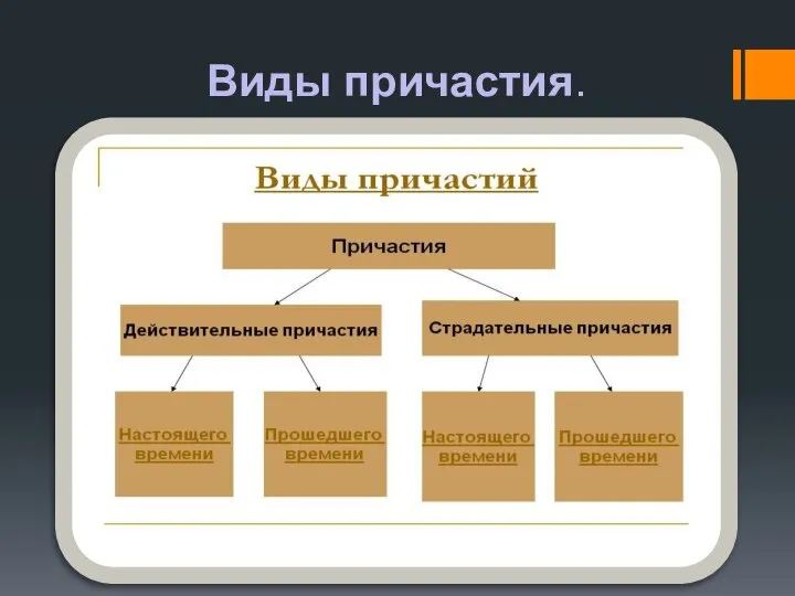 Виды причастия.