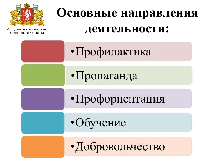 Основные направления деятельности: Молодежное правительство Свердловской области