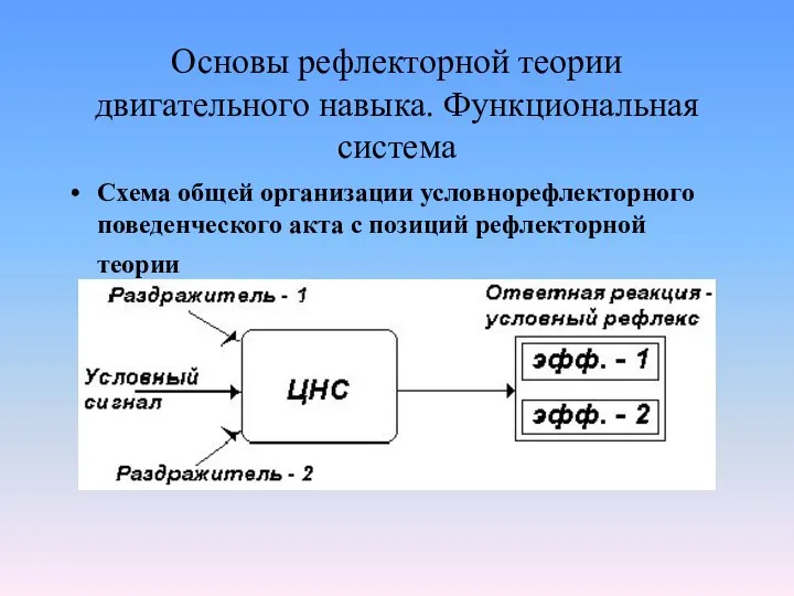 Основы рефлекторной теории двигательного навыка. Функциональная система Схема общей организации условнорефлекторного