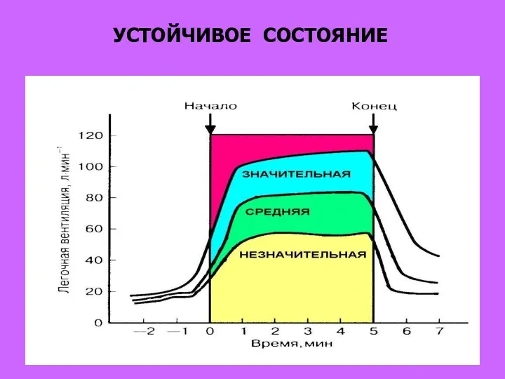 УСТОЙЧИВОЕ СОСТОЯНИЕ