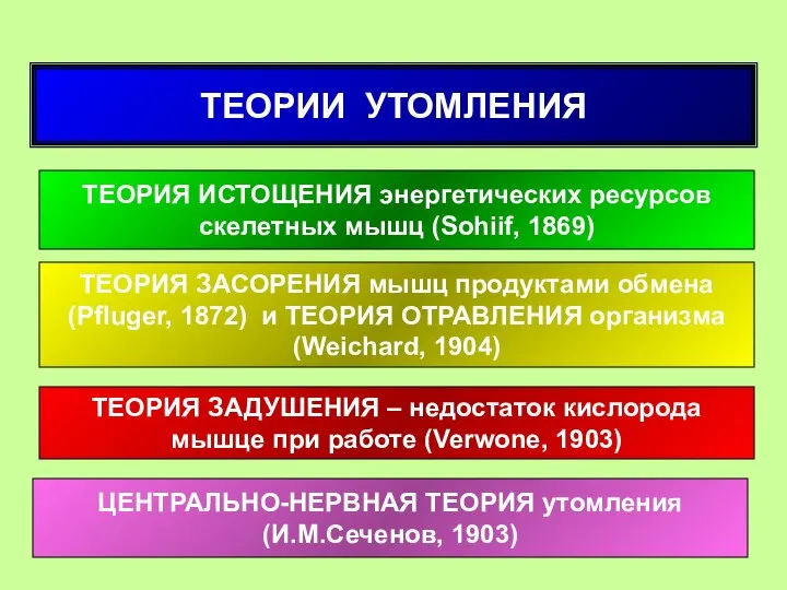 ТЕОРИЯ ИСТОЩЕНИЯ энергетических ресурсов скелетных мышц (Sohiif, 1869) ТЕОРИЯ ЗАСОРЕНИЯ мышц