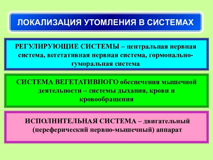 ЛОКАЛИЗАЦИЯ УТОМЛЕНИЯ В СИСТЕМАХ РЕГУЛИРУЮЩИЕ СИСТЕМЫ – центральная нервная система, вегетативная