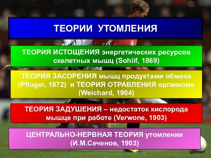 ТЕОРИЯ ИСТОЩЕНИЯ энергетических ресурсов скелетных мышц (Sohiif, 1869) ТЕОРИЯ ЗАСОРЕНИЯ мышц