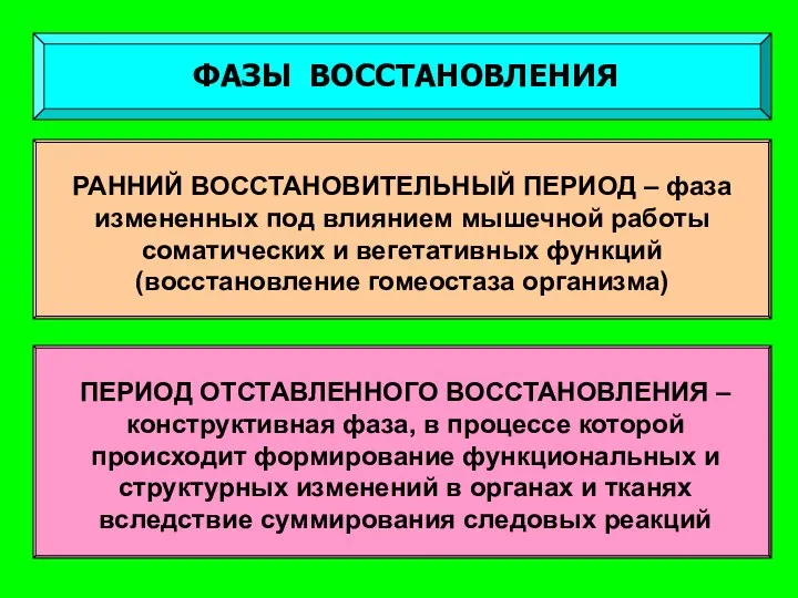 ФАЗЫ ВОССТАНОВЛЕНИЯ РАННИЙ ВОССТАНОВИТЕЛЬНЫЙ ПЕРИОД – фаза измененных под влиянием мышечной