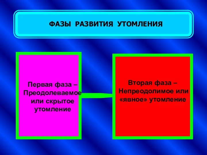 ФАЗЫ РАЗВИТИЯ УТОМЛЕНИЯ Первая фаза –Преодолеваемое или скрытое утомление Вторая фаза – Непреодолимое или «явное» утомление