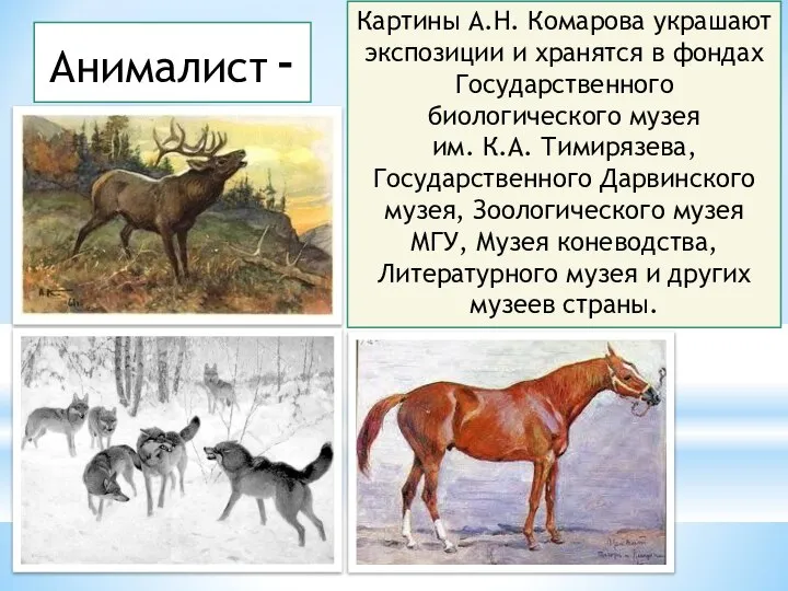 художник, который изображает животных. Animal(англ.) – животное. Анималист - А.Н.Комаров иллюстрировал