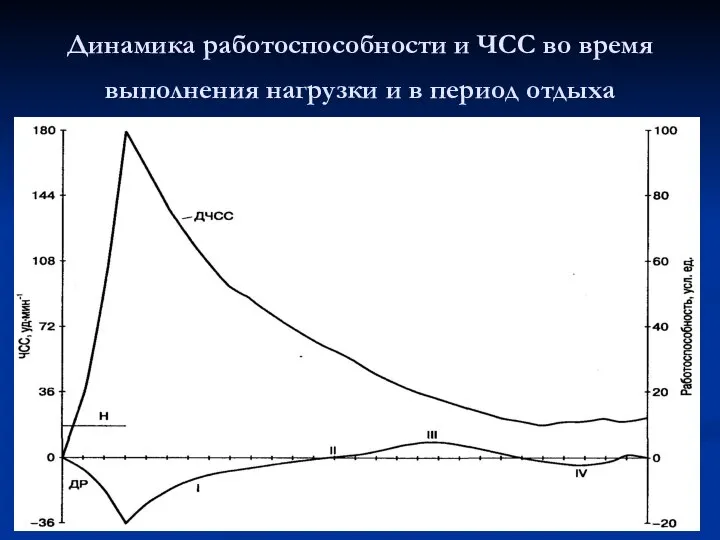 Динамика работоспособности и ЧСС во время выполнения нагрузки и в период отдыха