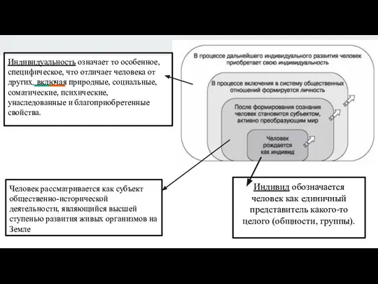 Человек рассматривается как субъект общественно-исторической деятельности, являющийся высшей ступенью развития живых