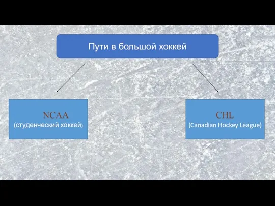 Пути в большой хоккей NCAA (студенческий хоккей) CHL (Canadian Hockey League)