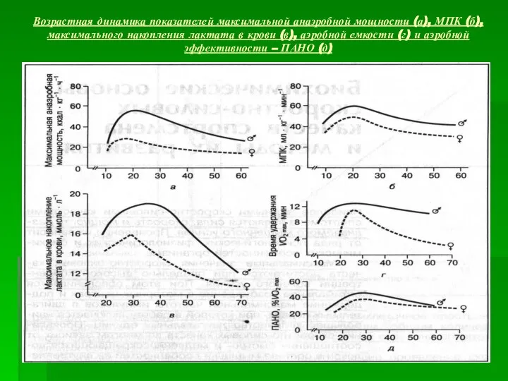 Возрастная динамика показателей максимальной анаэробной мощности (а), МПК (б), максимального накопления