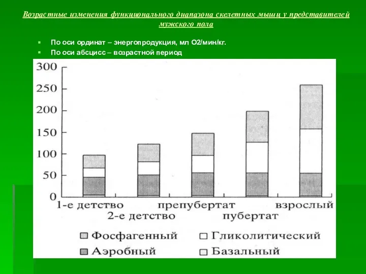 Возрастные изменения функционального диапазона скелетных мышц у представителей мужского пола По