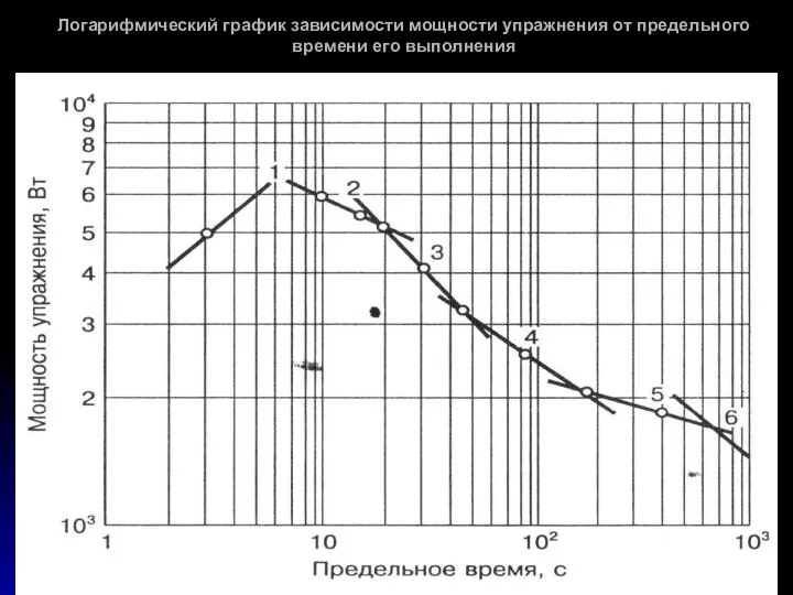 Логарифмический график зависимости мощности упражнения от предельного времени его выполнения