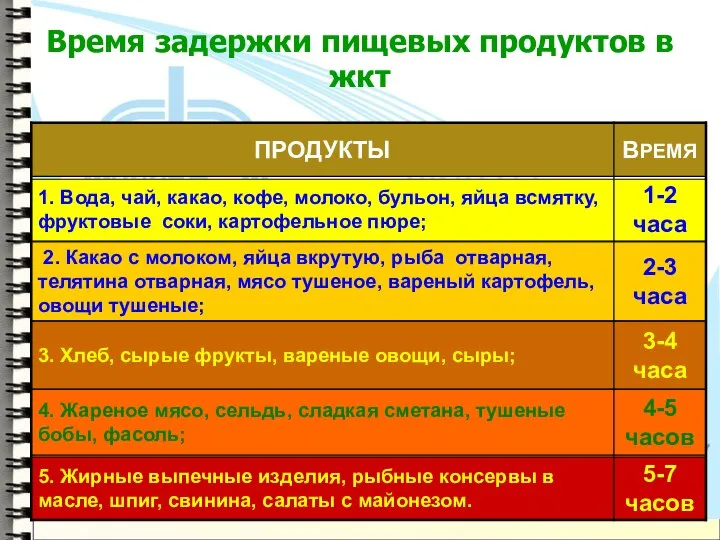 Время задержки пищевых продуктов в жкт