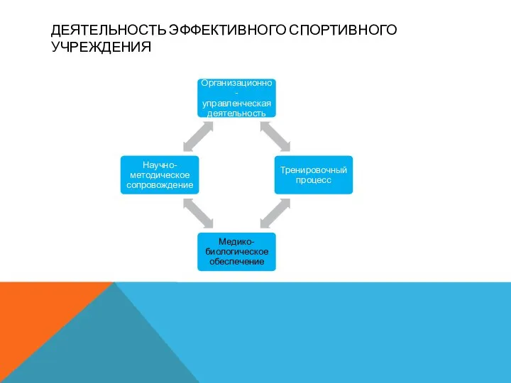 ДЕЯТЕЛЬНОСТЬ ЭФФЕКТИВНОГО СПОРТИВНОГО УЧРЕЖДЕНИЯ