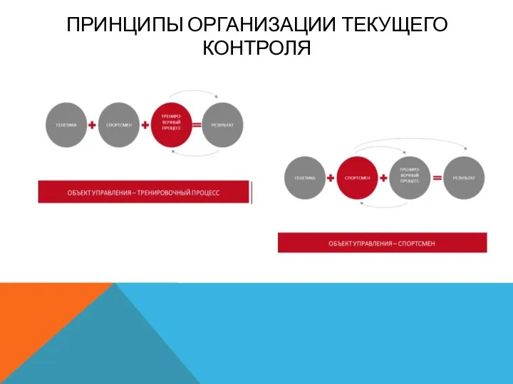 ПРИНЦИПЫ ОРГАНИЗАЦИИ ТЕКУЩЕГО КОНТРОЛЯ