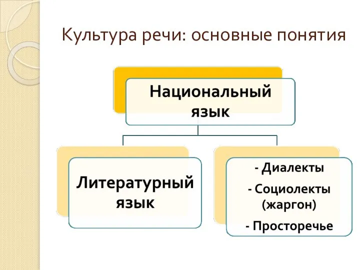 Культура речи: основные понятия