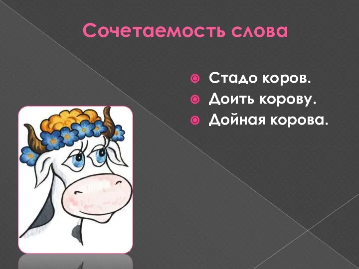 Сочетаемость слова Стадо коров. Доить корову. Дойная корова.