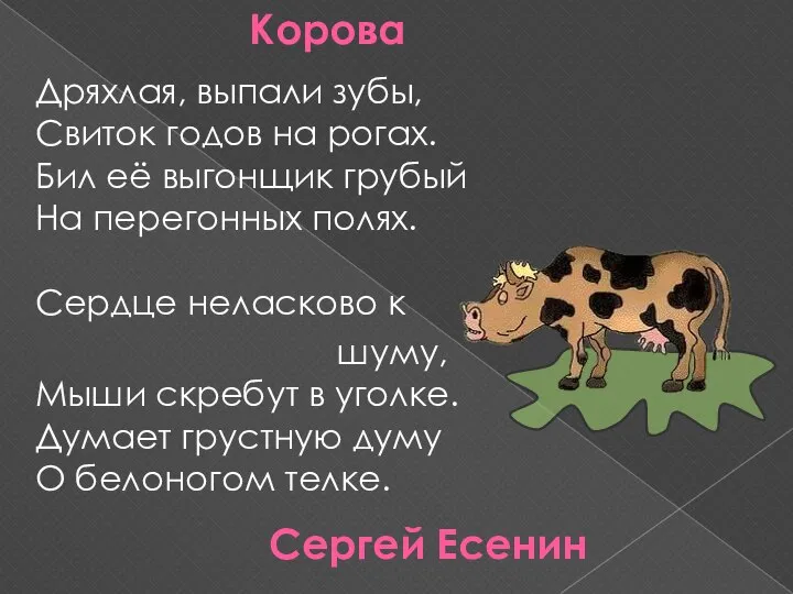 Корова Дряхлая, выпали зубы, Свиток годов на рогах. Бил её выгонщик